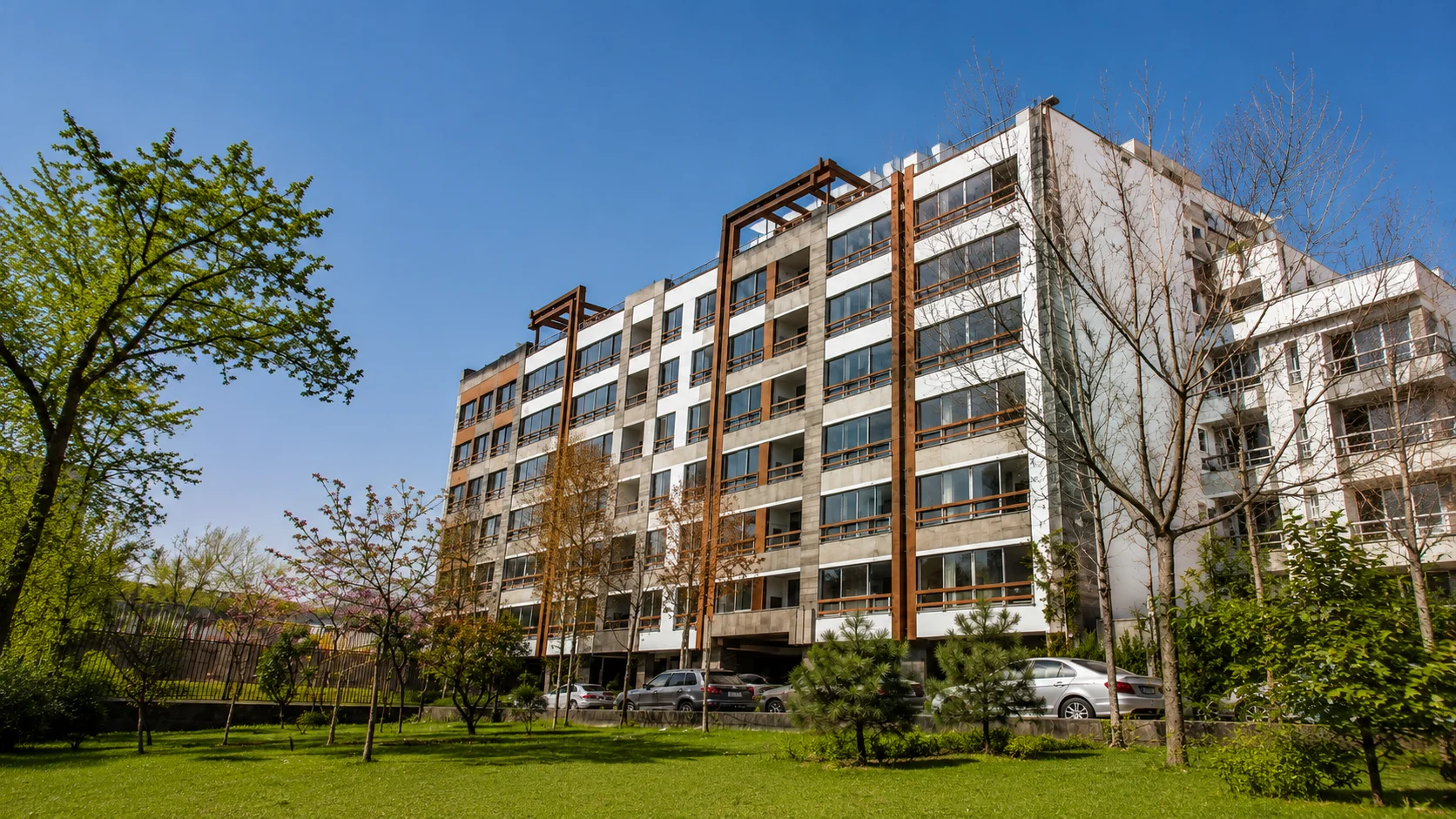 تصویر نمای نارسیس کوهیار